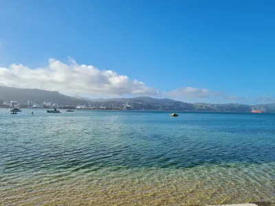 ニュージーランドのビーチ