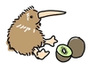 Kiwi
