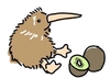 Kiwi